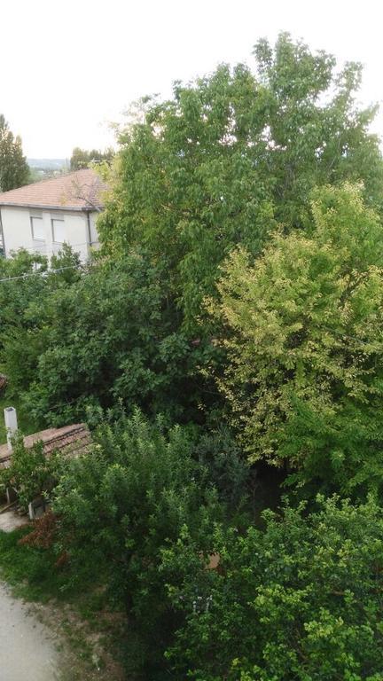 Il Giardino Del Gallo Foligno Pokoj fotografie